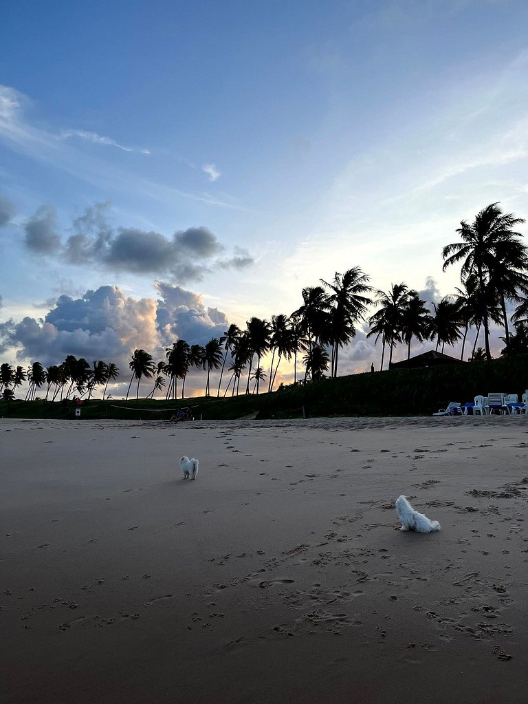 5 suítes | Costa do Sauípe | Praia Privativa