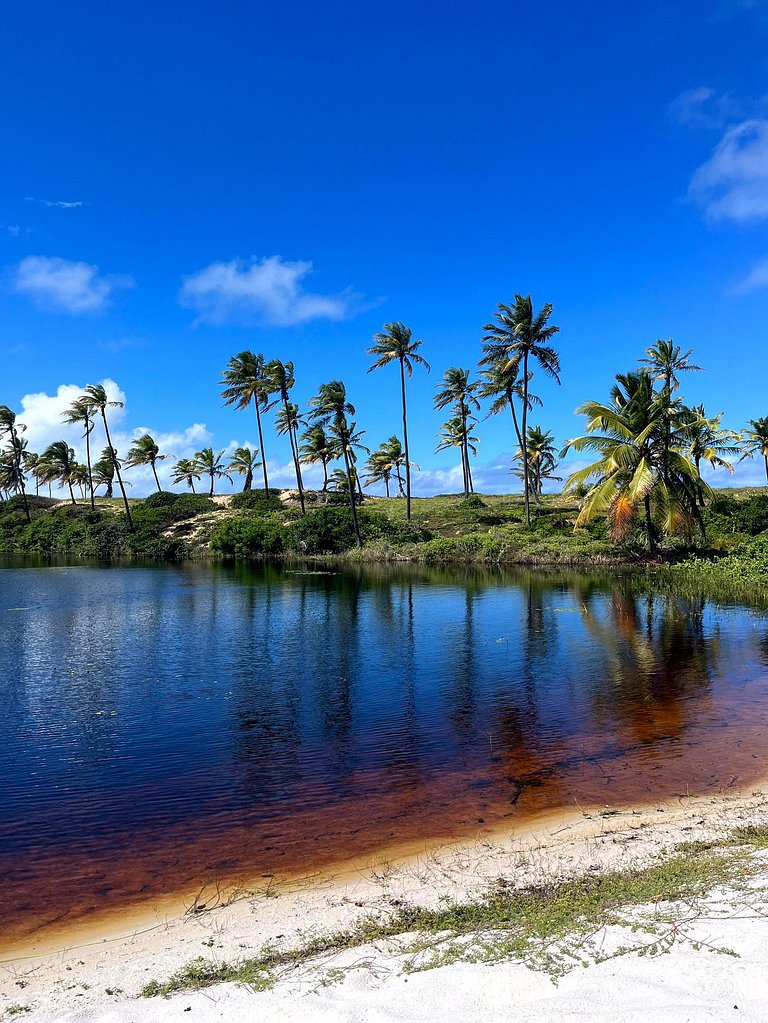 5 suítes | Costa do Sauípe | Praia Privativa